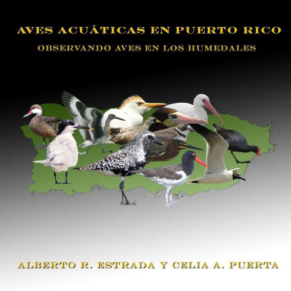Aves Acuáticas en Puerto Rico: Observando Aves en los Humedales