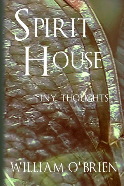 Spirit House - Tiny Thoughts: A collection of tiny thoughts to contemplate - spiritual philosophy