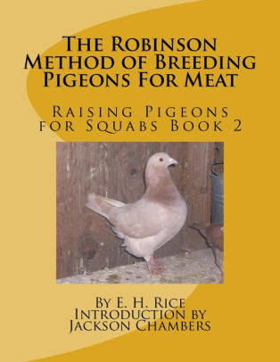 Game pigeon online