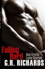 Falling Hard: Gay Erotic Love Stories