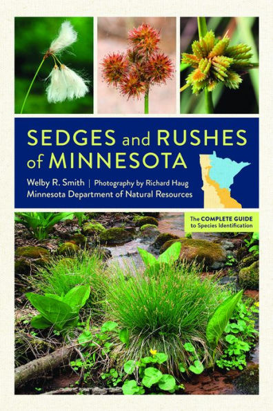 Sedges and Rushes of Minnesota: The Complete Guide to Species Identification
