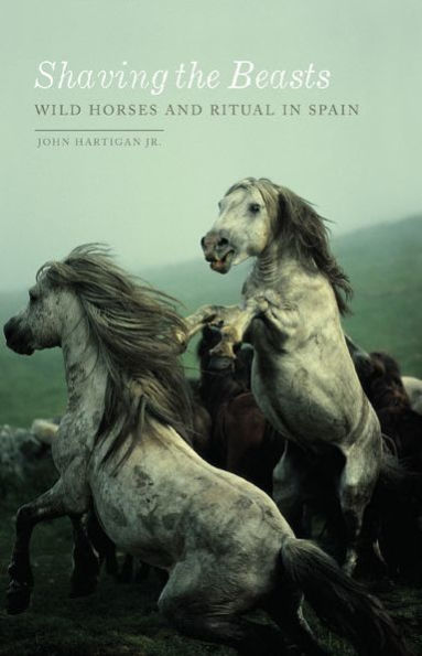 Shaving the Beasts: Wild Horses and Ritual Spain