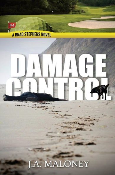 Damage Control: A Brad Stephens Novel. Hole #4