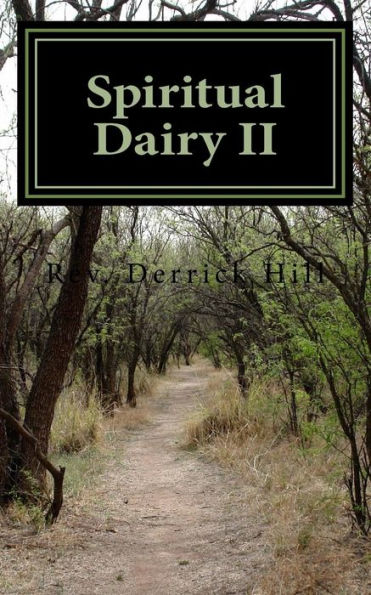 Spiritual Dairy II
