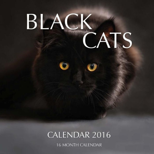 Black Cats Calendar 2016: 16 Month Calendar