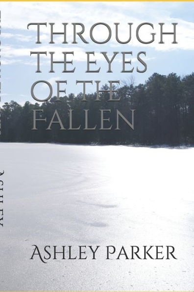 Through the Eyes of Fallen
