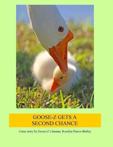 Goose-Z Gets a Second Chance: A true story by Goose-Z's human, Roselyn Pierce-Shirley