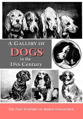 A Gallery Of Dogs In The 19th Century 350 Photographs Illustrations From 50 Books Magazines Published From 1858 To 1898paperback - 