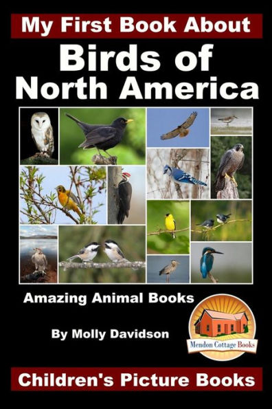 My First Book About the Birds of North America - Amazing Animal Books Children's Picture