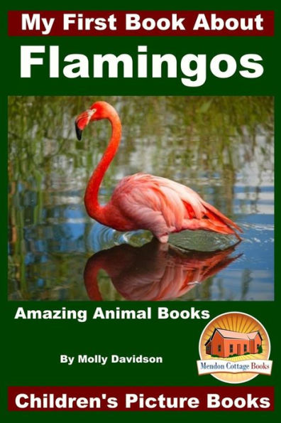 My First Book About Flamingos - Amazing Animal Books Children's Picture