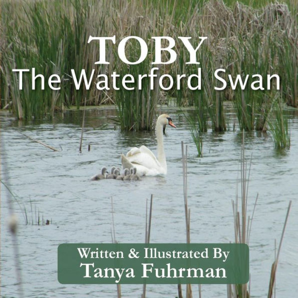 Toby The Waterford Swan: Children's Religious Nature Book of a Bird Family, to Encourage Kids With Disability