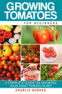 Growing Tomatoes for Beginners: A Complete Guide on Growing Your First Tomato Plant