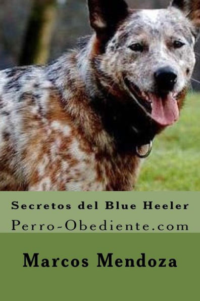 Secretos del Blue Heeler: Perro-Obediente.com