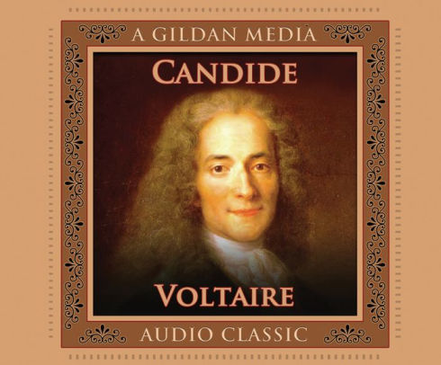 Voltaire additional biography image