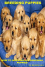 Breeding Puppies: How to Make Money Breeding Puppies