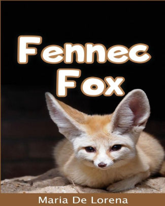 Fennec Fox Children Pictures Book Fun Facts About Fennec Fox By Maria De Lorena Paperback Barnes Noble