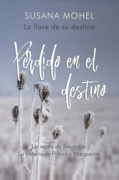 Perdido en el destino: La llave de su destino