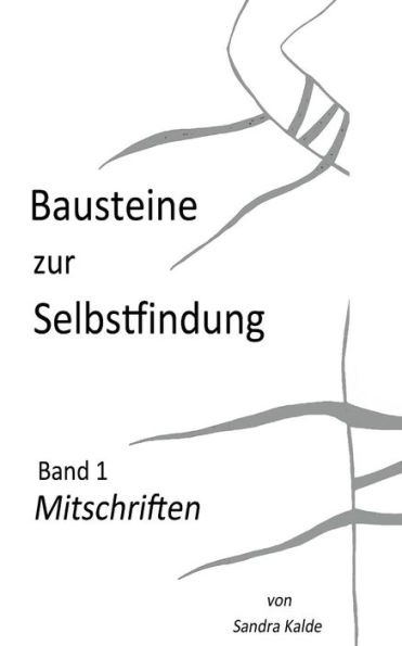 Bausteine zur Selbstfindung: Band 1 Mitschriften