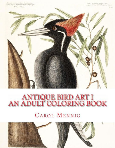 Antique Bird Art I - An Adult Coloring Book