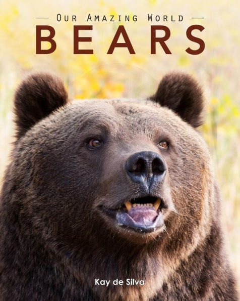 Bears: Amazing Pictures & Fun Facts on Animals in Nature