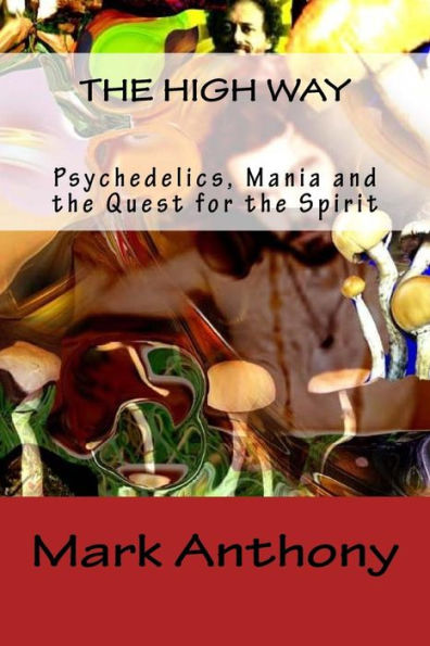 The High Way: Psychedelics, Mania and the Quest for the Spirit