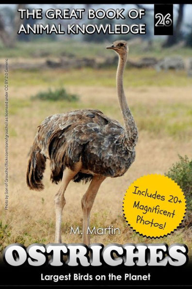 Ostriches: Largest Birds on the Planet