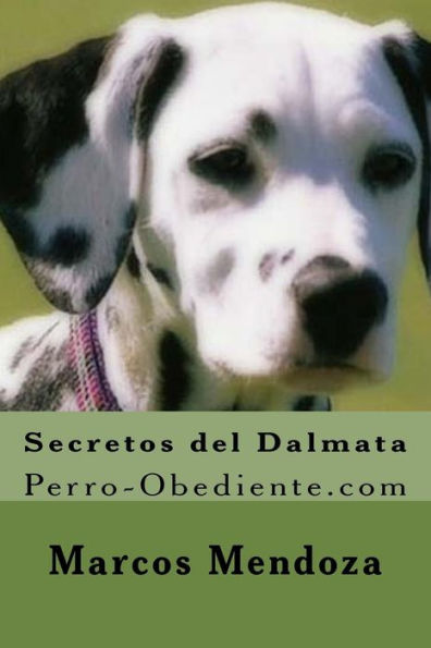 Secretos del Dalmata: Perro-Obediente.com