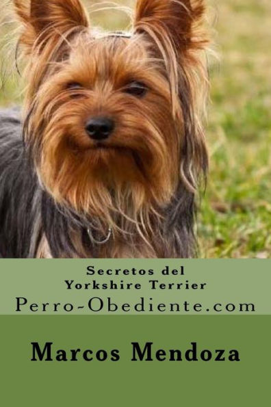 Secretos del Yorkshire Terrier: Perro-Obediente.com