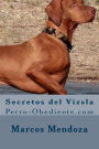 Secretos del Vizsla: Perro-Obediente.com
