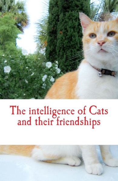 The intelligence of Cats and their friendships