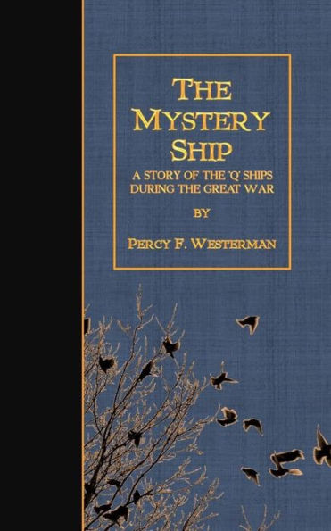 the Mystery Ship: A Story of 'Q' Ships During Great War