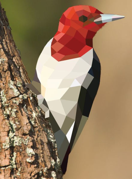 Paint by Sticker: Birds: Create 12 Stunning Images One Sticker at a Time!