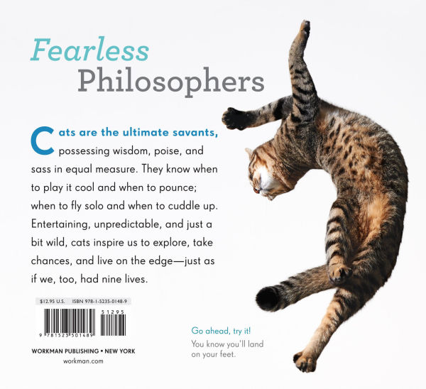 Really Important Stuff My Cat Has Taught Me
