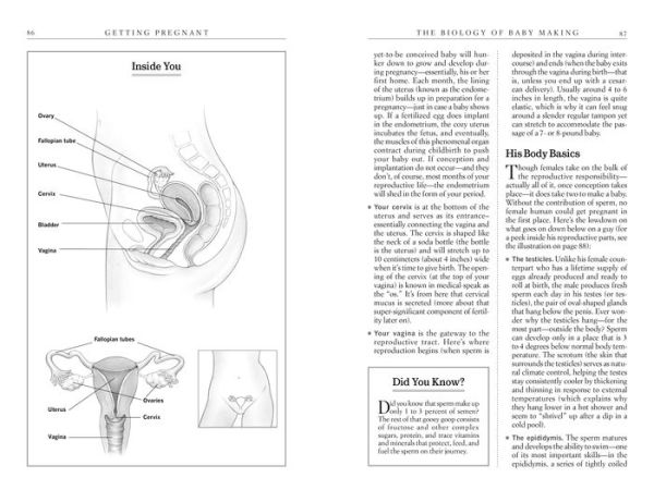 What to Expect Before You're Expecting: The Complete Guide to Getting Pregnant