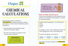 Alternative view 7 of Everything You Need to Ace Chemistry in One Big Fat Notebook