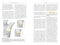 Alternative view 4 of The Menopause Book: The Complete Guide: Hormones, Hot Flashes, Health, Moods, Sleep, Sex
