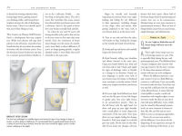 Alternative view 10 of The Menopause Book: The Complete Guide: Hormones, Hot Flashes, Health, Moods, Sleep, Sex