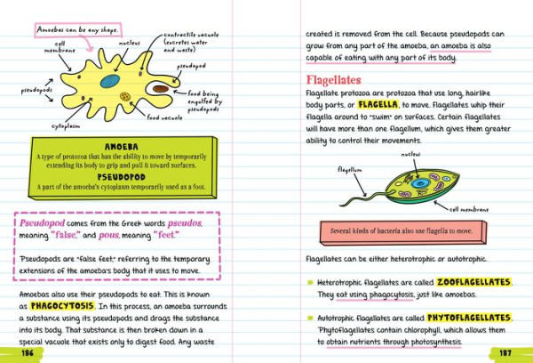 Everything You Need to Ace Biology in One Big Fat Notebook