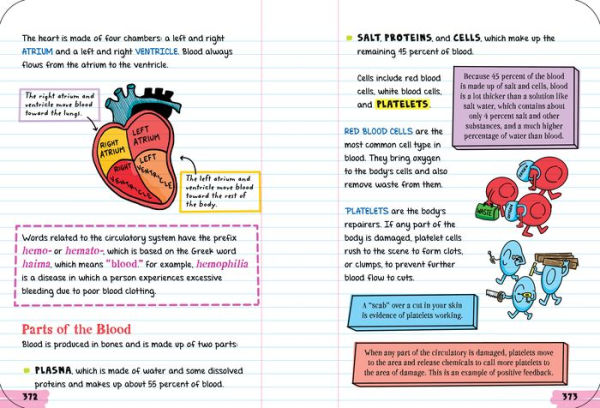 Everything You Need to Ace Biology in One Big Fat Notebook