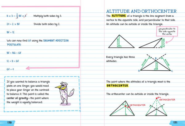 Everything You Need to Ace Geometry One Big Fat Notebook