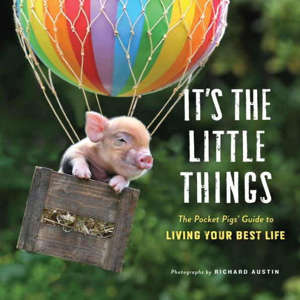 It's The Little Things: Pocket Pigs' Guide to Living Your Best Life (Inspiration Book, Gift Lessons, Mini Pigs)