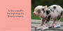 Alternative view 5 of It's the Little Things: The Pocket Pigs' Guide to Living Your Best Life (Inspiration Book, Gift Book, Life Lessons, Mini Pigs)