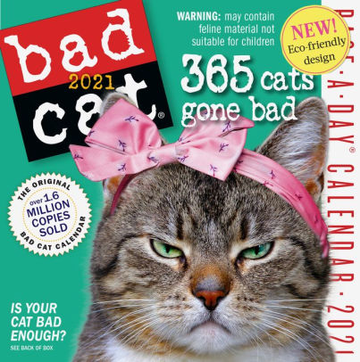 2021 Bad Cat Page A Day Calendar By Workman Publishing Company Inc Barnes Noble