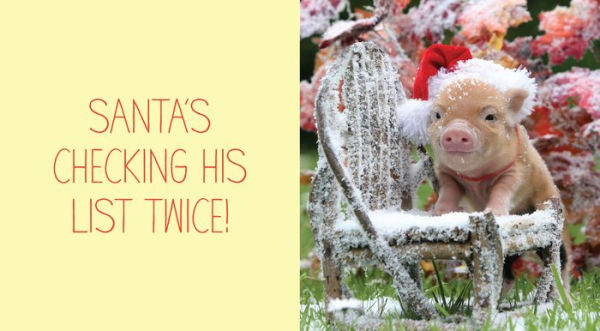 Pocket Piggies: Christmas!