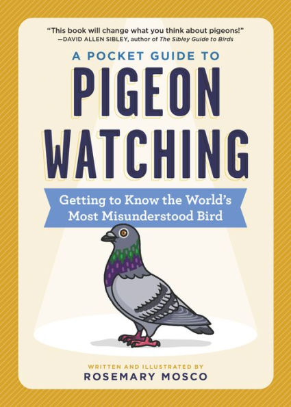 A Pocket Guide to Pigeon Watching: Getting Know the World's Most Misunderstood Bird