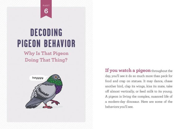 A Pocket Guide to Pigeon Watching: Getting Know the World's Most Misunderstood Bird