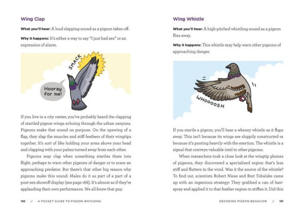 A Pocket Guide to Pigeon Watching: Getting Know the World's Most Misunderstood Bird