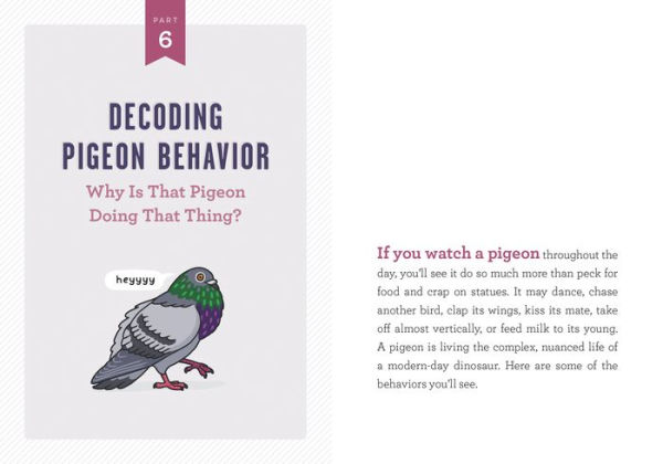 A Pocket Guide to Pigeon Watching: Getting Know the World's Most Misunderstood Bird