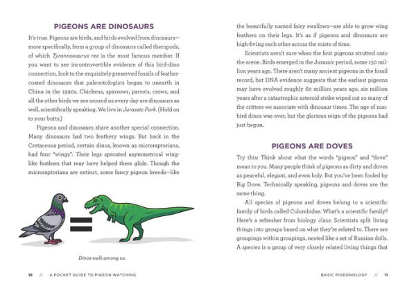 A Pocket Guide to Pigeon Watching: Getting Know the World's Most Misunderstood Bird