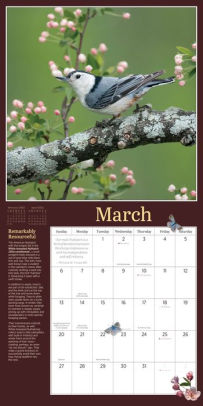 2022 Audubon Birds In The Garden Wall Calendar By National Audubon Society, Workman Calendars | Barnes & Noble®